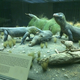Diorama del dragón de Komodo en el Salón de los reptiles y anfibios del Museo Americano de Historia Natural.